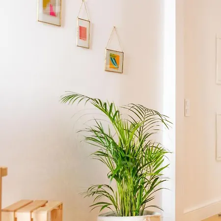 Ferreiros By Heart Of Funchal (Madeira)