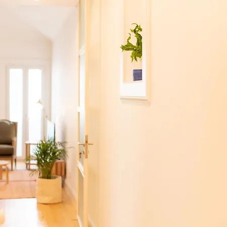 Ferreiros By Heart Of Apartamento *