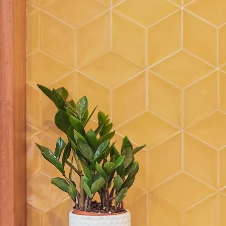 Ferreiros By Heart Of Apartamento Funchal (Madeira)