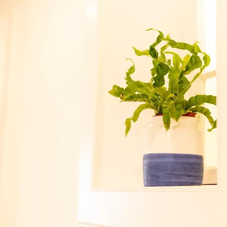 Ferreiros By Heart Of Funchal (Madeira)